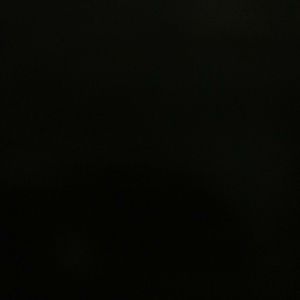 Meet your Posher, Cecilia